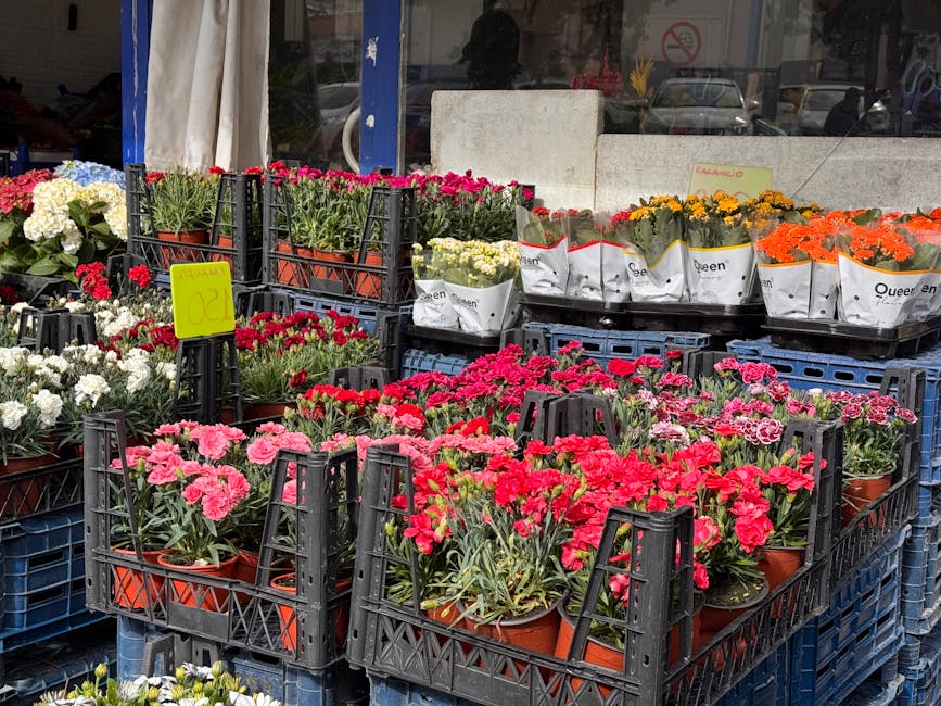 An outdoor display of potted flowering plants featuring vibrant pink, red, white, yellow, and orange blooms arranged in black plastic crates and white paper-wrapped bouquets. The flowers include varie